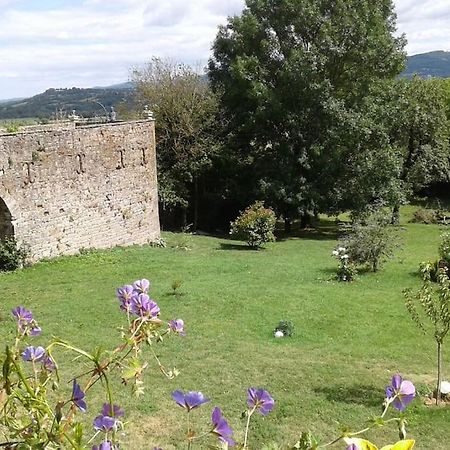 Le Clos De Soulages Gite 2 Pers Palmas Exterior photo